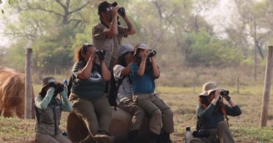 Turismo em ascensão: desafio de observação de aves registra 345 espécies em MS